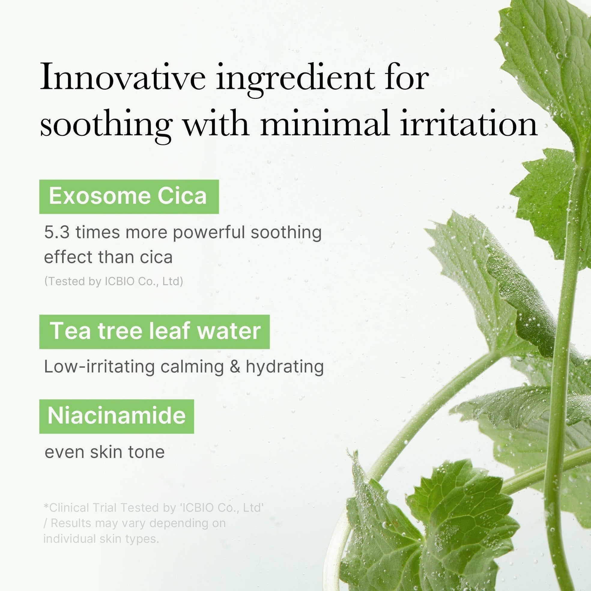 Exosome Cica Calming Toner Pads